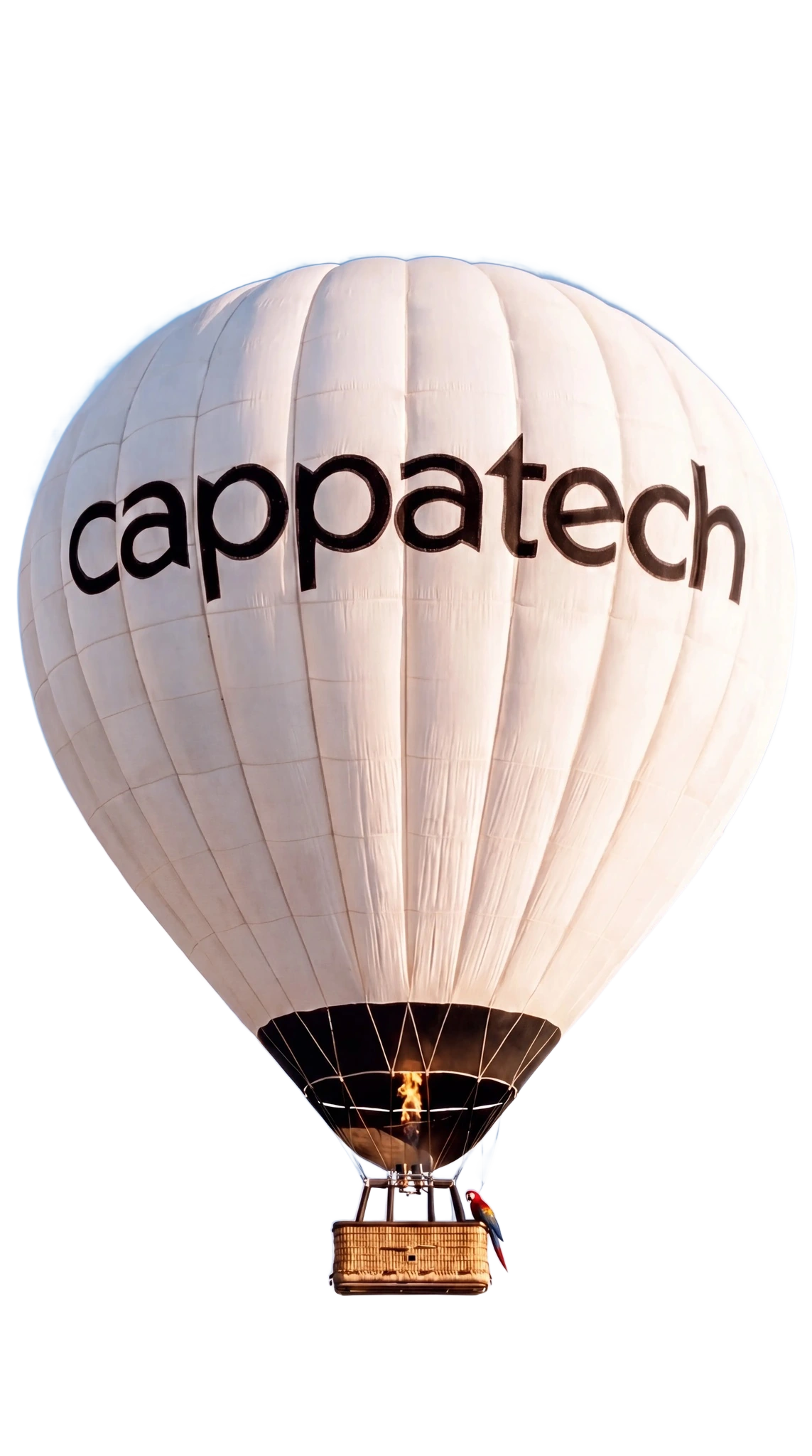 Cappatech hot air balloon